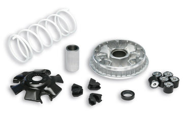Suzuki En 125 [MALOSSI] - Multivar 2000 variator