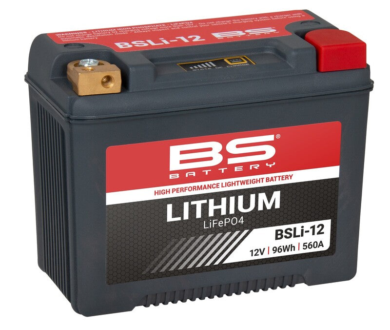 Harley Davidson Flhx [BS BATTERY] - Lithium-ion battery - BSLI-12
