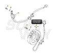 Yamaha XVS 650 [TOURMAX] - Stator - Yamaha XVS 650 Dragstar