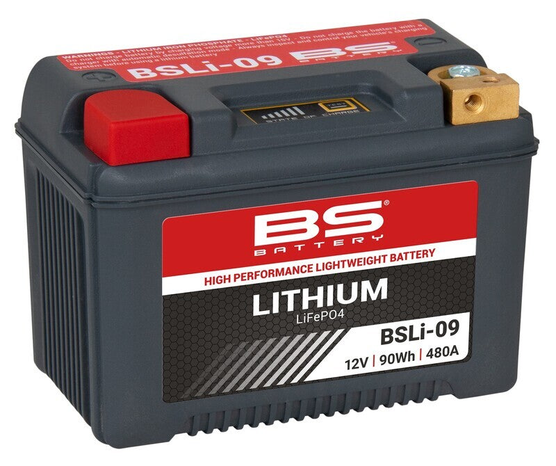 Triumph Tiger 900 Rally TIG900 [BS Battery]-lithium-ion motorcycle battery
