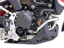 Bmw F 900 Gs Adventure [2024–2025] - Adventure underrun protection - PE-HD 8mm-3