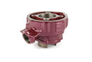 Beta RR SM 50 2T - kit cylindre Due Plus 75 cc modulaire