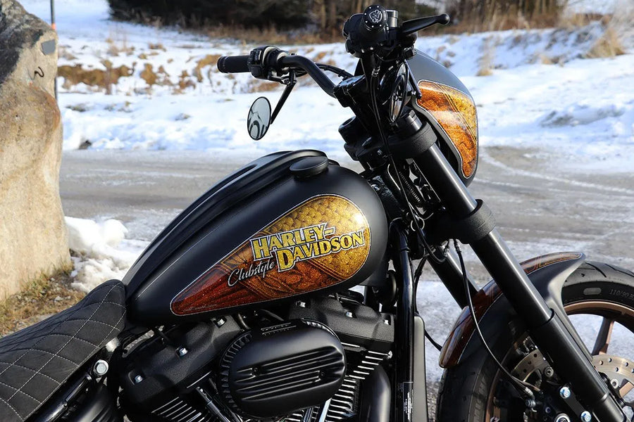 Harley-Davidson Low Rider [CULT WERK] – Dash Cover for Harley
