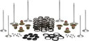 Harley-Davidson FLRT 1868 Freewheeler 114 [2021, 2023-2024] - Titanium Ventilfederhalter-Kit – Bild 5