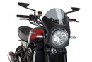 KAWASAKI Z 900 RS SE [2025] – Retro Fairing Screen – Black-21