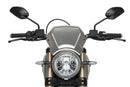 DUCATI SCRAMBLER 1100 DARK PRO [2025] – ALU faceplate – silver