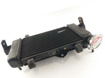 Yamaha YZF 125 RE06 [2011] - Radiateur d'eau - 0