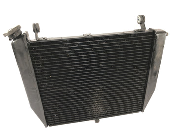 Yamaha YZF R1 RN09 [2002] - Radiator Water Cooler Cooling System Radiator