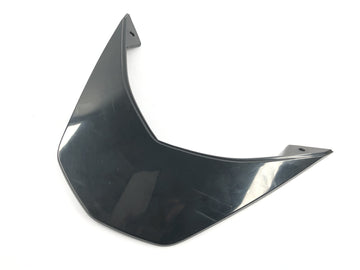 KTM Duke 690 A3 [2012] - Taillight cover fairing rear fairing
