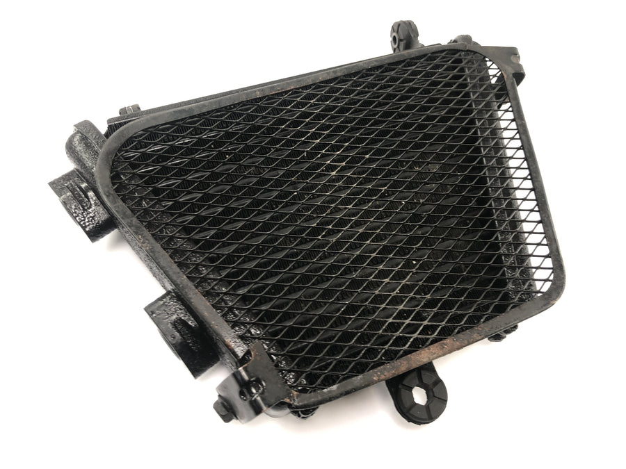 Suzuki GSX R 1000 K9 WVCY [2009] - Ölkühler Kühler Ölradiator