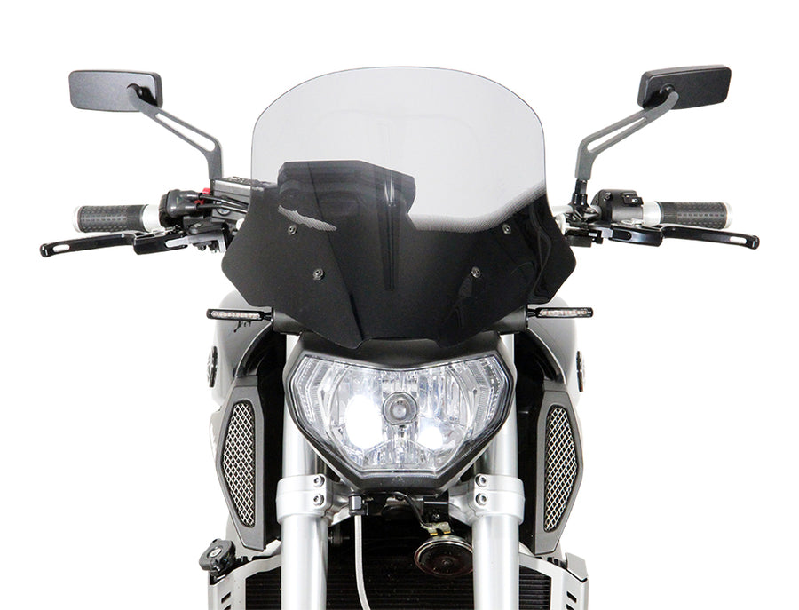 Yamaha MT-09 / FZ-09 [2014-2016] - Disqueur "NTM"