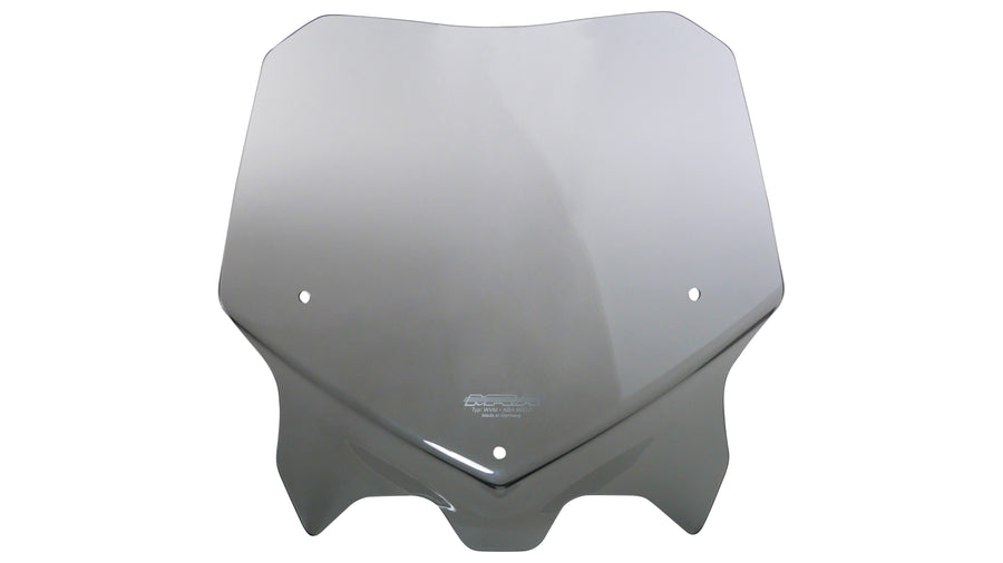 BMW S 1000 R [2021-2024] -Sports Disc "NSPN"