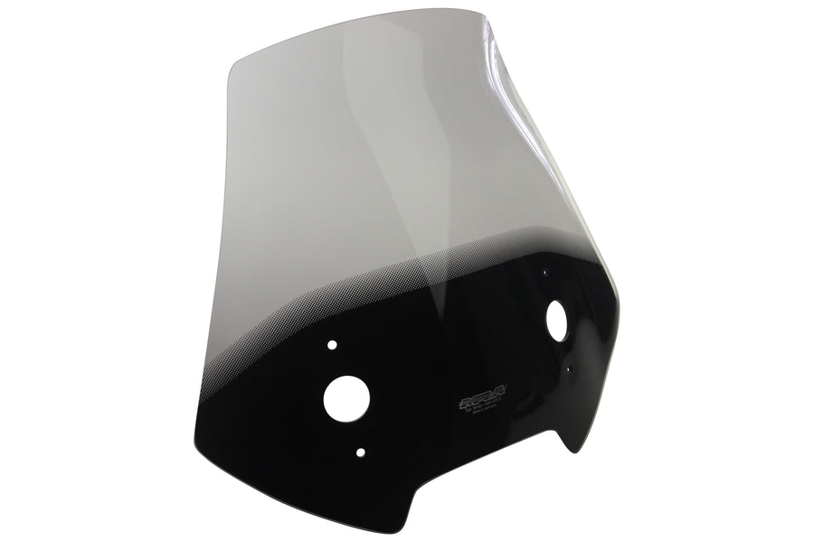 Kawasaki Versys 650 17-21 /1000 17-18-original shape disc "OM"