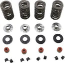 Harley-Davidson FXST 1690 Softail Standard [2013-2014] - Endurance Beehive® valve springs with titanium spring seats - picture 8