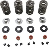 Harley-Davidson XR 1200 [2008-2010] - Endurance Beehive® valve springs with titanium spring plates - picture 8