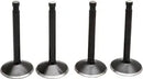 Harley Davidson FX Shovel [KIBBLEWHITE] – Black Diamond™ Engine Valve Kit