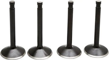 Pelle Harley Davidson FX [KIBBLEWHITE] - Kit de soupapes de moteur Black Diamond™