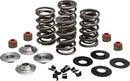Harley-Davidson FXST 1690 Softail Standard [2013-2014] - Endurance Beehive® valve springs with titanium spring seats - picture 10
