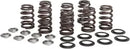 Harley-Davidson FXBR 1923 Softail Breakout 117 [2024] - Titanium Ventilfederhalter-Kit – Art.-Nr. 1208 – Bild 10