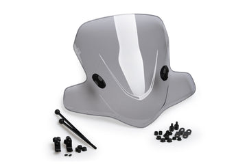 APRILIA SPORTCITY 200 [2023] – City Touring scooter screen – tinted