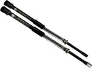 Harley-Davidson FXDF 1584 Dyna Fat Bob [2010-2011] - Legend AXEO Performance front suspension - picture 3