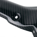 BMW R 1300 GS [2024–2026] - Carbon-Hitzeschildabdeckung für RAD-Schalldämpfer (Code 4009)