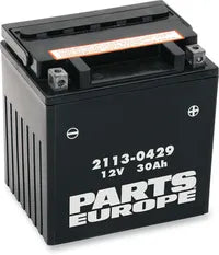California 1100 [PARTS EUROPE] – Parts Europe Battery
