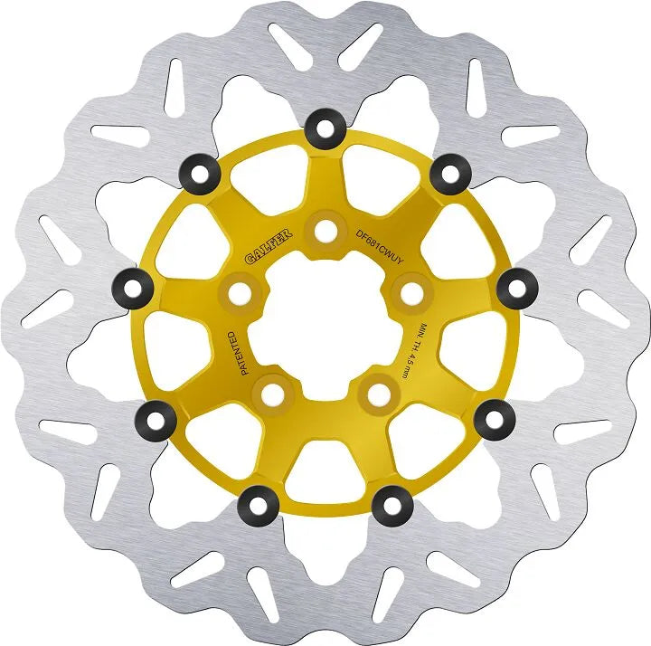 Harley-Davidson XL 1200 R Sportster Roadster [2008] - brake discs - surface: gold, silver - picture 1