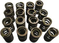 Suzuki GSX 1300 [KIBBLEWHITE] – Valve springs