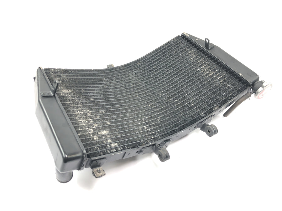 Honda CBR 600 RR PC37 [2004] - Radiator water cooler engine radiator cooling system