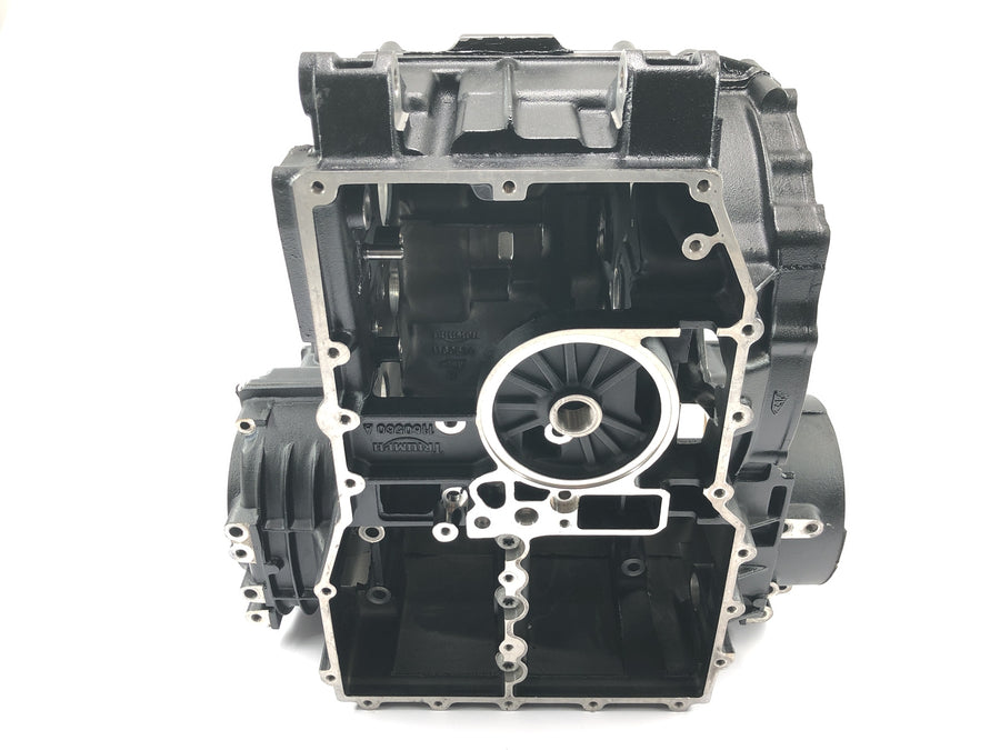 Triumph Daytona 1200 T300D [1994] - engine housing crankcase empty housing