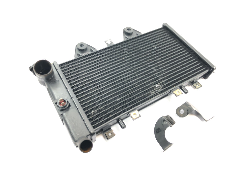 Triumph Daytona 1200 T300D [1994] - Radiator water cooler cooling system radiator network