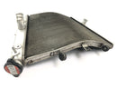 Suzuki GSX R 1000 WVB6 K6 [2006] - Radiator water cooler cooling system radiator network-3