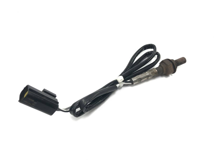 Triumph Tiger 955i 709EN [2003] - Sonde lambda Sonde à oxygène Sonde de gaz d'échappement