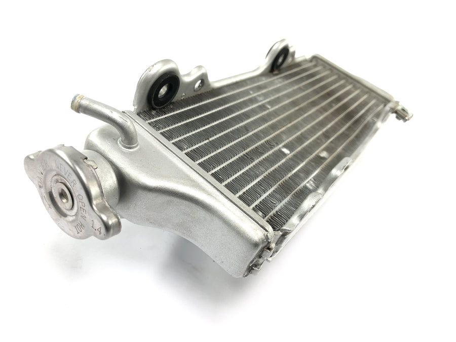 SWM RS 125 R B2 [2020] - Radiateur système de refroidissement refroidisseur d'eau filet de radiateur à l'avant