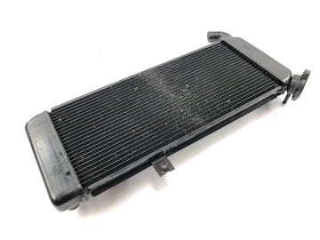 Kawasaki Versys KLE 650 A [2006] - Radiateur système de refroidissement refroidisseur d'eau - 0