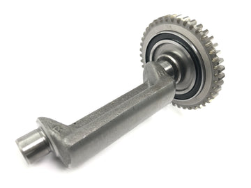 Yamaha DT 125 R DE03 [2000] - Balance shaft balancer - 0