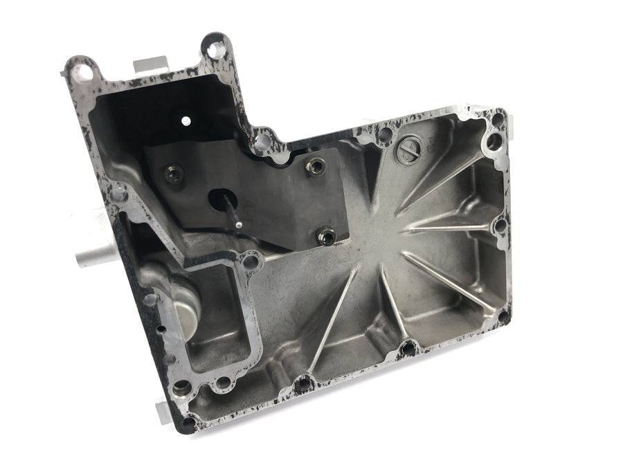Yamaha XV 1600 Wild Star VP08 [2002] - Oil filler neck primary drive engine cover