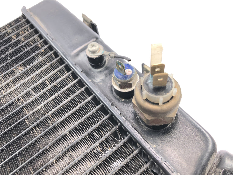 Yamaha GTS 1000 4FV [1997] - Refroidisseur d'eau de radiateur avec capteurs de température