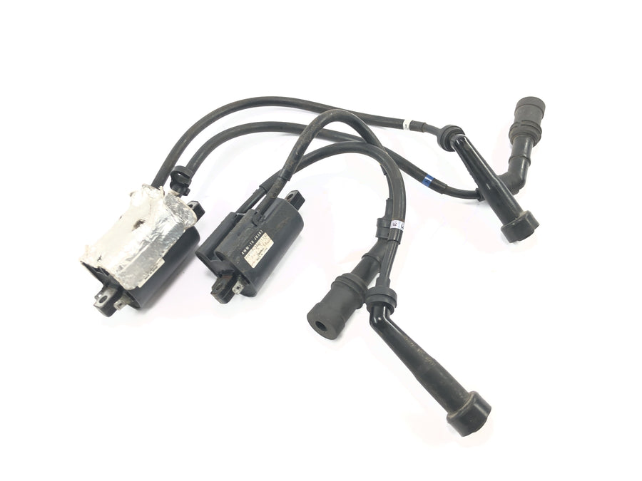Yamaha XV 1600 Wild Star VP08 [2002] - Ignition coil pair ignition coil ignition cable ignition system