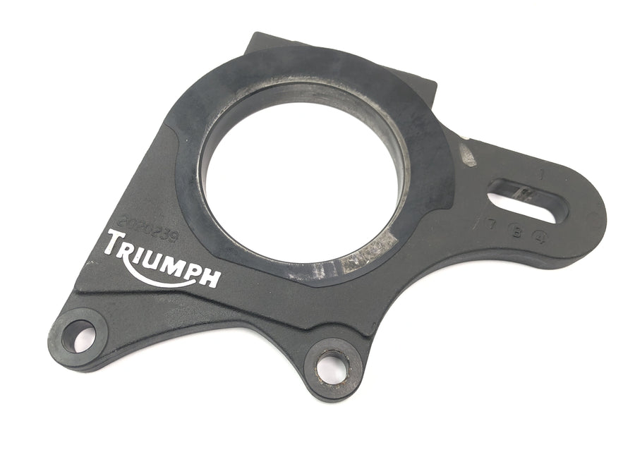Triumph Speed ​​​​Triple T509 [1998] - Support d'étrier de frein à plaque d'ancrage