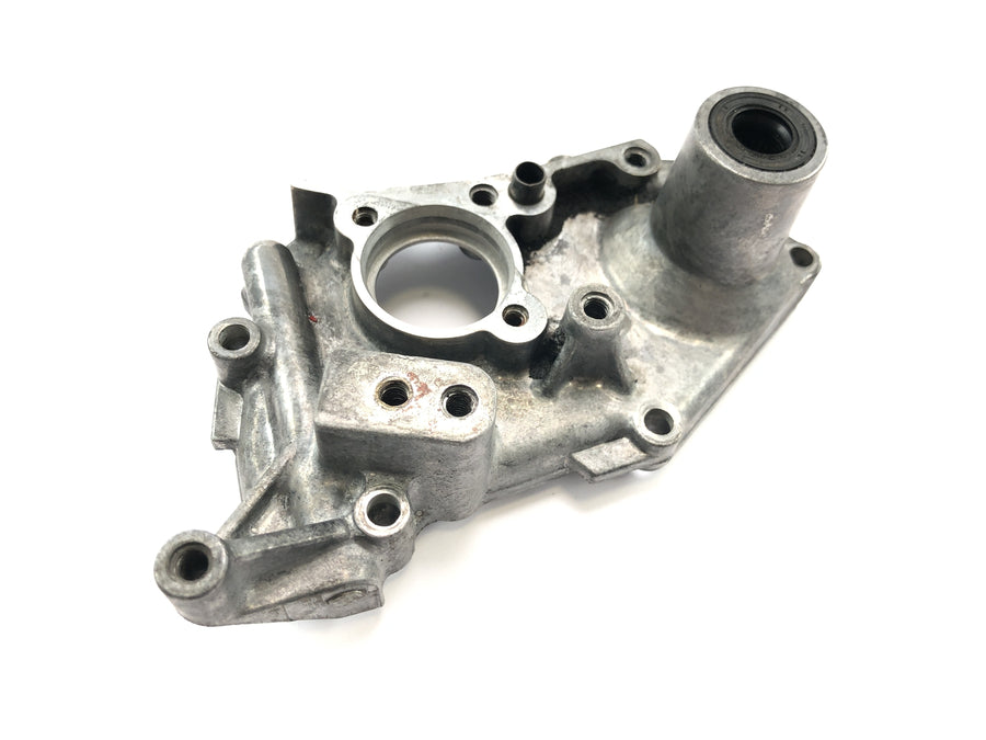 Kawasaki W 650 EJ650A [1999] - shift shaft cover, oil pump cover, engine cover