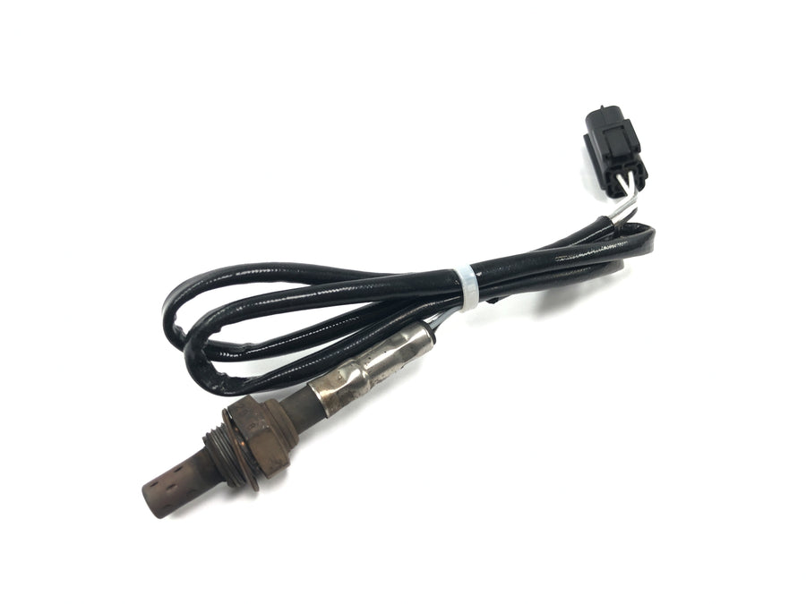 Triumph Tiger 955i 709EN [2003] - Sonde lambda Sonde à oxygène Sonde de gaz d'échappement