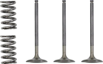 GAS GAS EC 450 [PROX] – valve and spring set