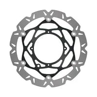 Swm RS 300 R [2021-2024] - Bremsensatz – Bild 9