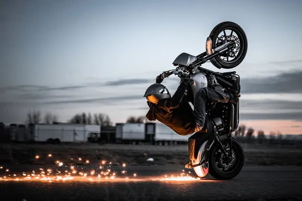 Harley-Davidson FXSBSE2 1800 Breakout CVO [2014] - Cubiq™ brake disc - picture 6