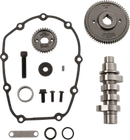 Harley-Davidson FLRT 1868 Freewheeler 114 [2025] - 618 F Series chain drive camshaft - picture 8