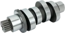 Harley-Davidson FLHCS 1923 Softail Heritage Classic 117 [2025] - Reaper® 465 camshaft - picture 11