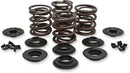 Harley Davidson Flfb [KIBBLEWHITE] - OEM Replacement Valve Spring Kit