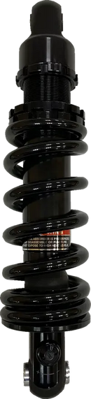 Harley-Davidson FXLRST 1923 Softail Low Rider ST 117 H.O. [2025] - 12 mm lambda sensor – Figure 5